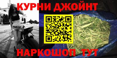 сатива Кингисепп