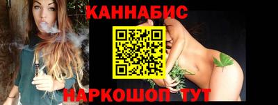 сатива Кингисепп