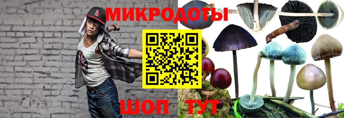 Кировск  Галлюциногенные грибы прущие грибы  Вход с VPN 